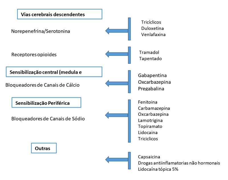 Neuropática